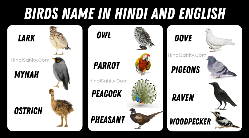 birds-name-in-hindi-and-english